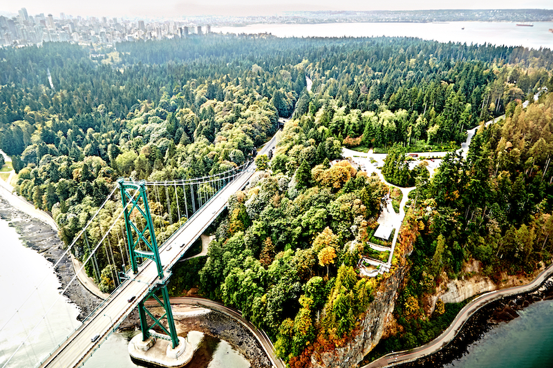 A bridge leading into a forest: funding requires a bridge between public and private sector