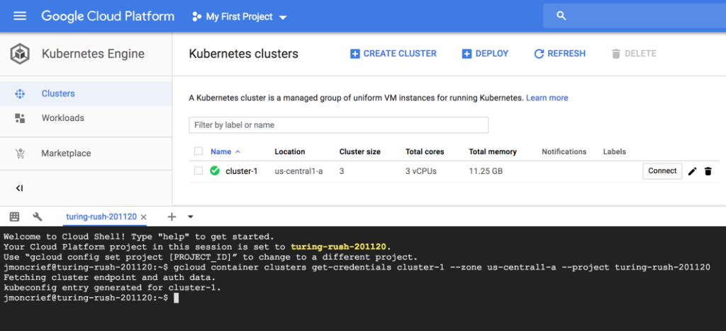 You will now be brought into the GKE Cloud Shell where you can now fully interact with your GKE Kubernetes cluster