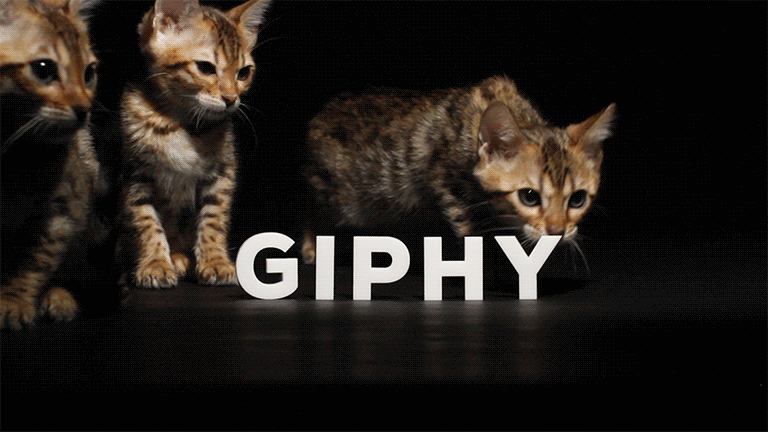 GIPHY integration using the GIF option in Webex Teams App