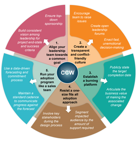 CCW 5 Best Practices