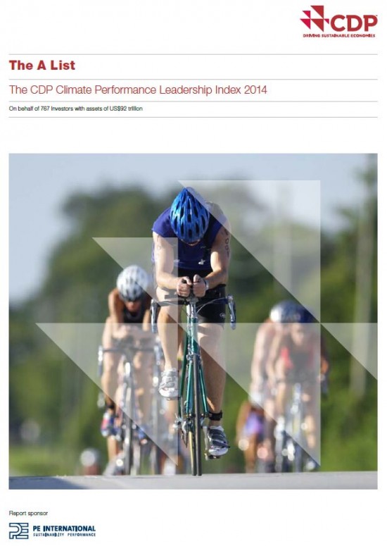 CDP performance report cover