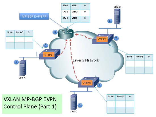 VXLAN10