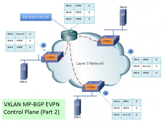 VXLAN11