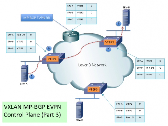 VXLAN12