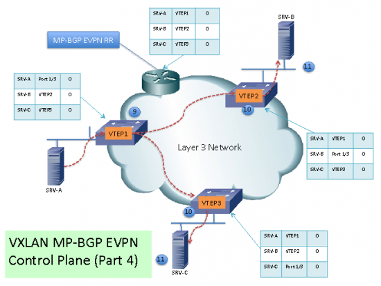 VXLAN13