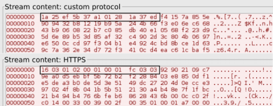 SSL vs custom protocol headers