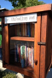The Santa Teresa Foothills Little Free Library