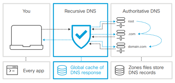 DNS サーバの種類