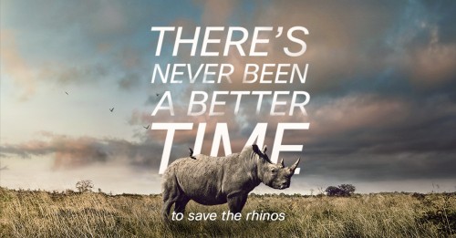 Save_the_Rhinos_LinkedIn