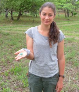 Wildlife Biologist holding the sensor