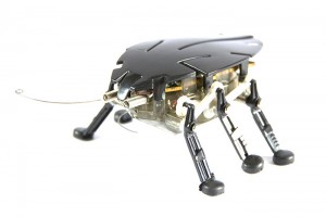robot-cockroach